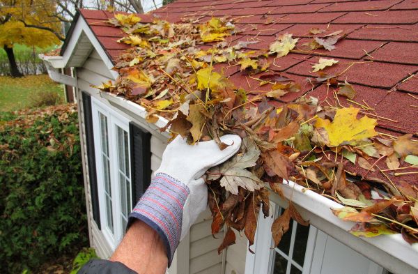 Professional Emergency Gutter Cleaning
