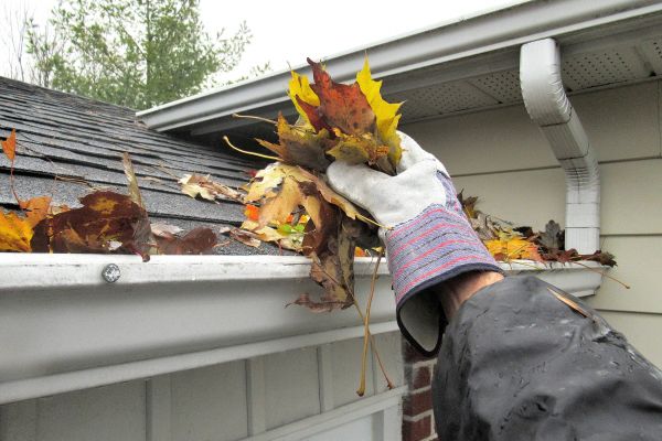 Professional Gutter Leaf Clearing